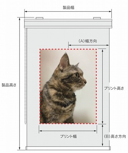 フォトプリント プリントの寸法と位置