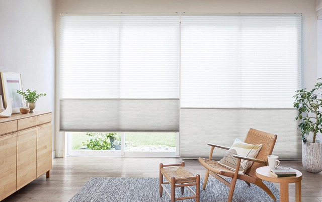 リビング ハニカムスクリーン