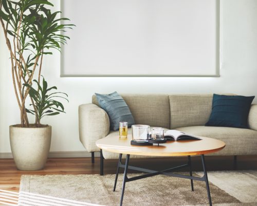 コルト_ロールスクリーン