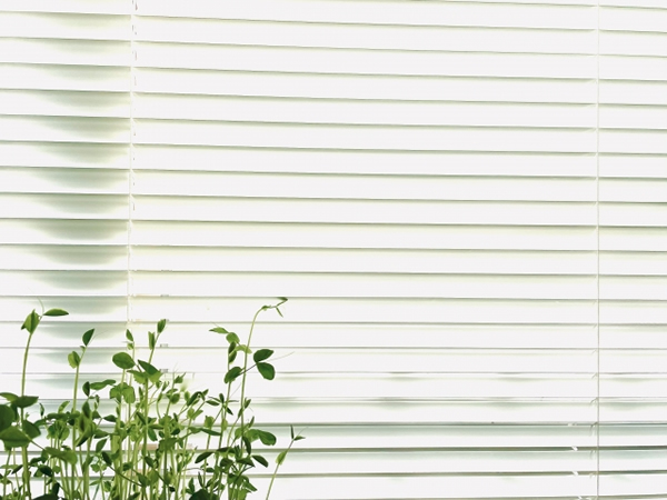 アルミブラインド 設置環境 使い方 組み合わせ方