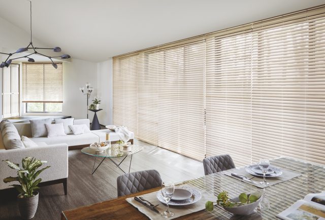 タチカワブラインド フォレティアエグゼ