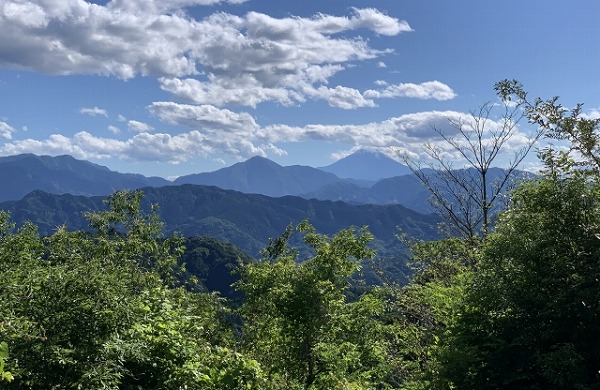 山頂からの景色