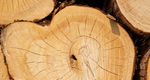 ブラインド 無垢材 天然木 アースタイプ のスラットのカラーを選ぶ